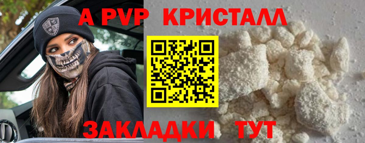 Alfa_PVP СК КРИС Владикавказ