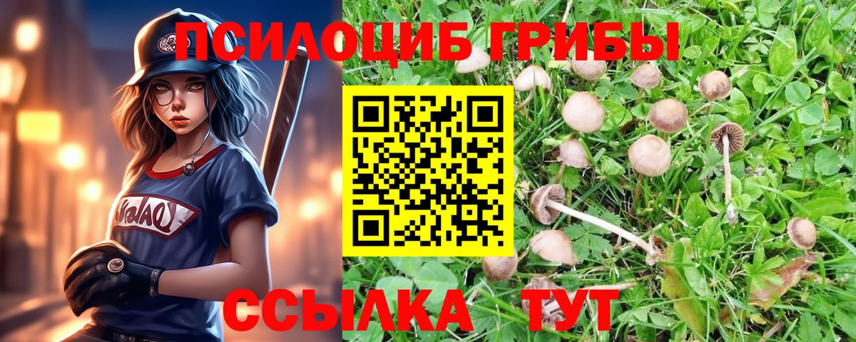 Псилоцибиновые грибы мухоморы Владикавказ