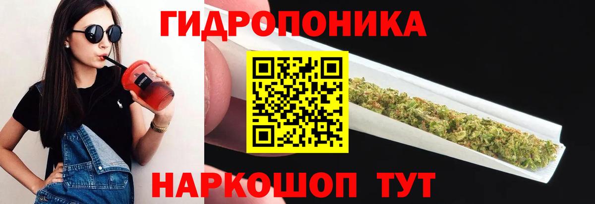 Шишки марихуана сатива Владикавказ